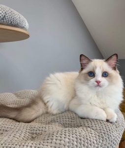 thumbnail_fb_img_1568931923983