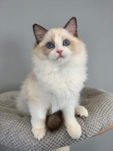 thumbnail_fb_img_1568931928809