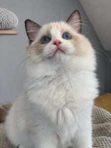 thumbnail_fb_img_1568931937965