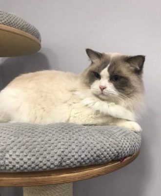 thumbnail_received_426780127973327