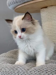 thumbnail_received_439269656684343