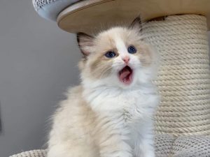 thumbnail_received_504756073651608