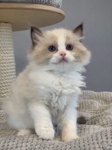 thumbnail_received_637417846781303