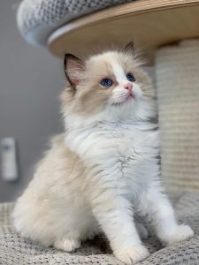 thumbnail_received_697360597399746