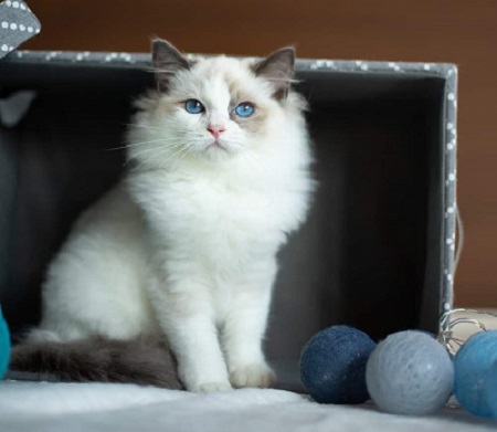 thumbnail_received_399757454074507kl1