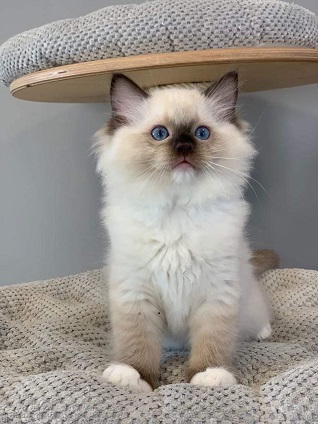 unadjustednonraw_thumb_753kl