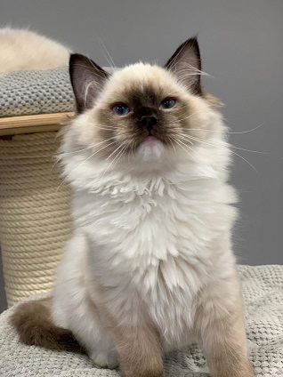 unadjustednonraw_thumb_75bkl