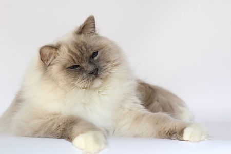 img_3625-kopie.jpgkl_