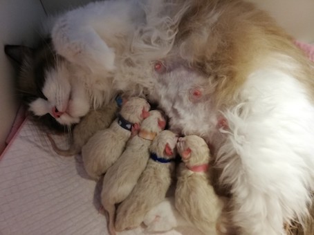 thumbnail_img_20200516_173057