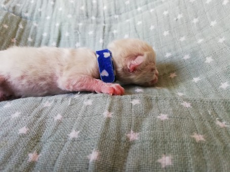 thumbnail_img_20200518_162604