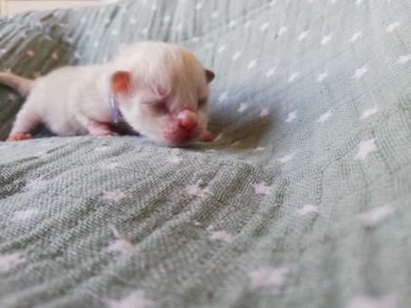 thumbnail_img_20200518_162827