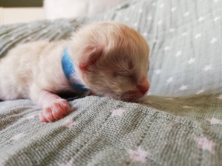 thumbnail_img_20200518_162936