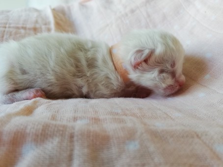 thumbnail_img_20200518_163100