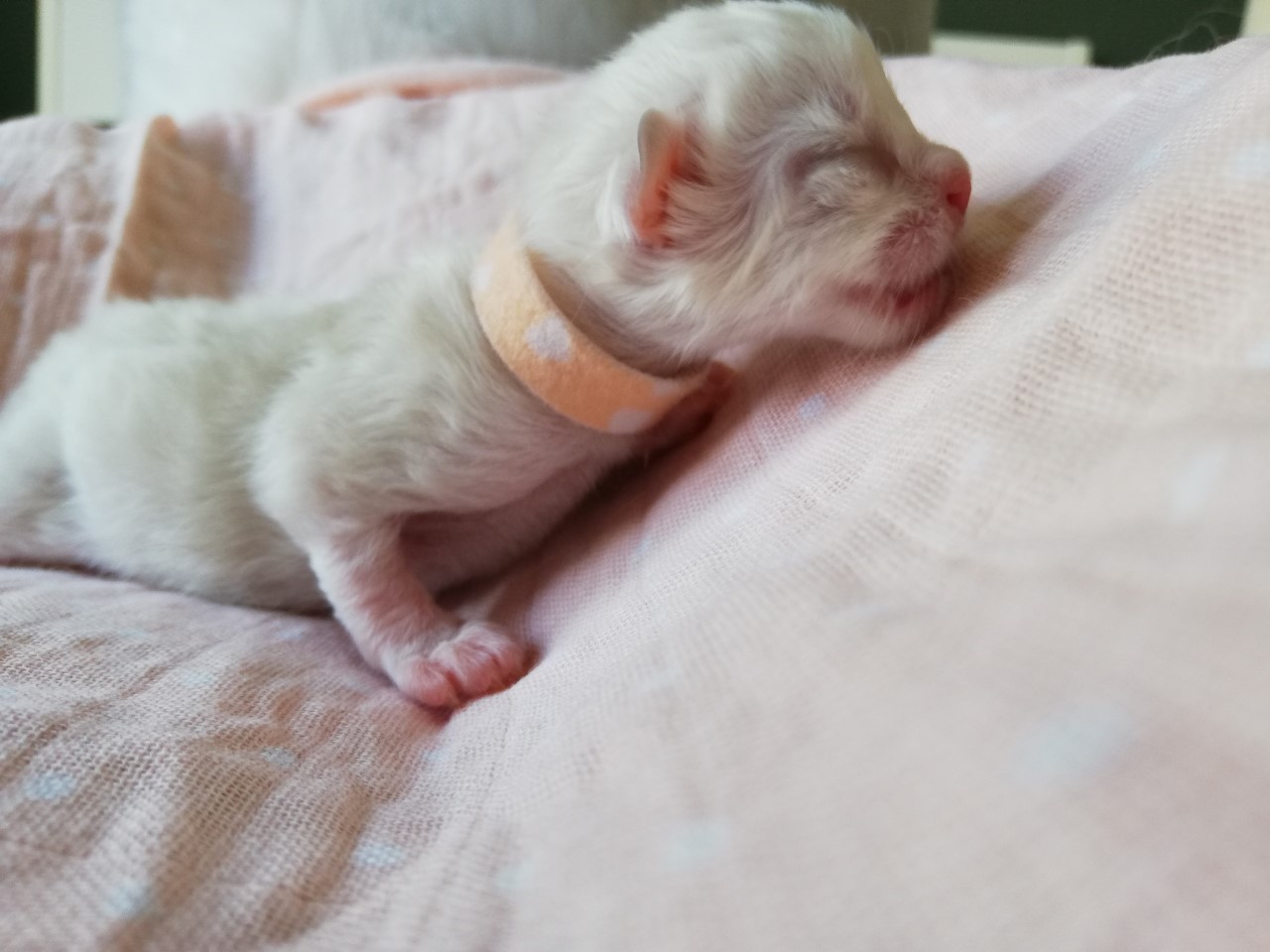 thumbnail_img_20200518_163106