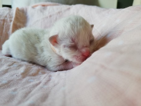 thumbnail_img_20200518_163134