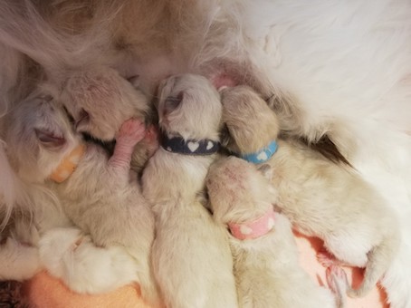 thumbnail_img_20200520_115204