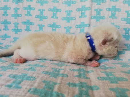 thumbnail_img_20200523_141900