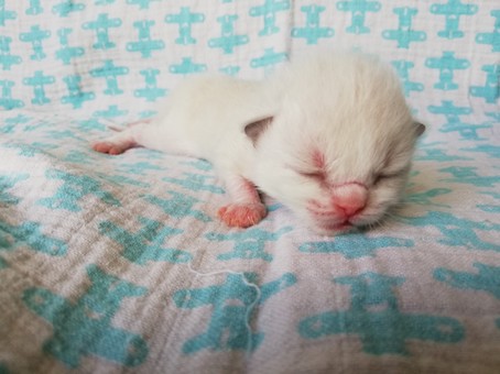 thumbnail_img_20200523_142023