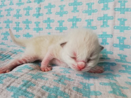 thumbnail_img_20200523_142252