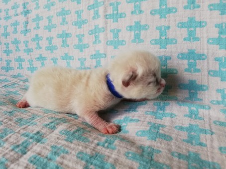 thumbnail_img_20200523_142307