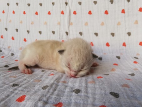 thumbnail_img_20200523_143211