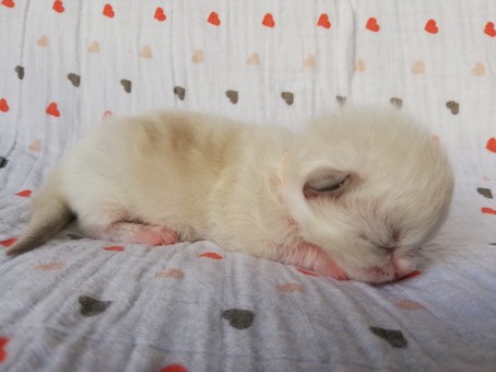 thumbnail_img_20200523_143324