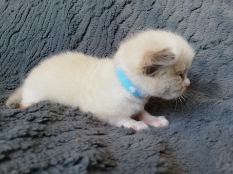 thumbnail_img_20200531_132226