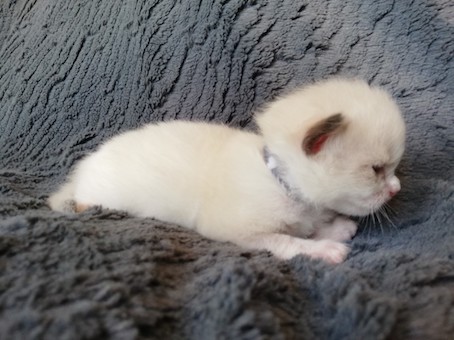 thumbnail_img_20200531_133000