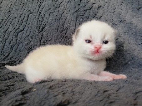 thumbnail_img_20200531_133453