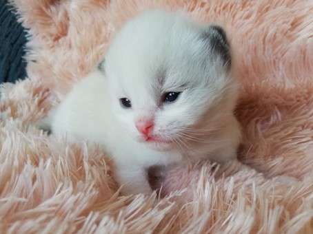 thumbnail_img_20200531_133902