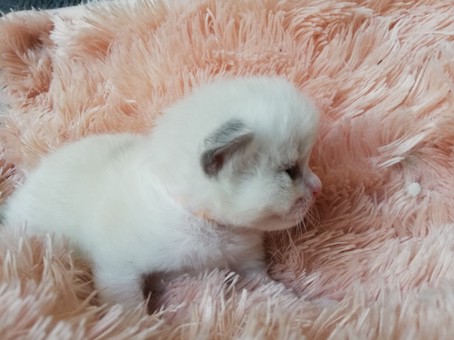 thumbnail_img_20200531_133910