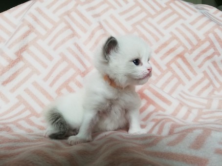 thumbnail_img_20200609_160051