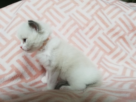 thumbnail_img_20200609_160226