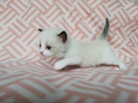 thumbnail_img_20200609_162324