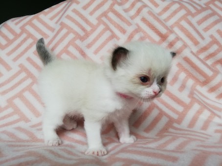 thumbnail_img_20200609_162524