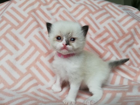 thumbnail_img_20200609_162535