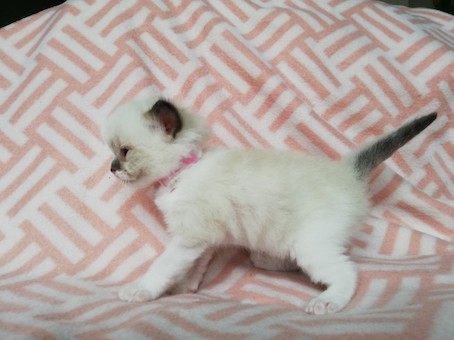 thumbnail_img_20200609_162537