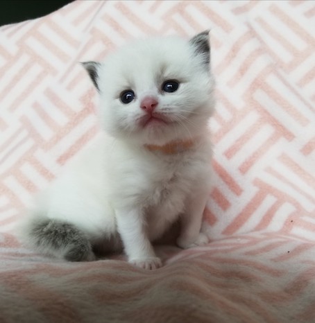 thumbnail_img_20200609_192953