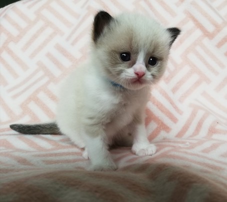 thumbnail_img_20200609_193425