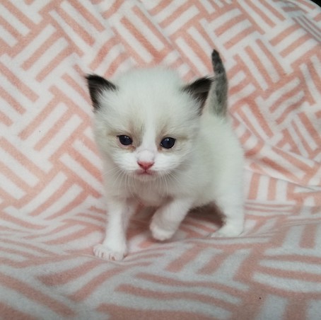 thumbnail_img_20200609_193928