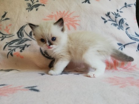 thumbnail_img_20200623_161346