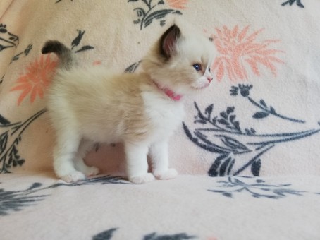 thumbnail_img_20200623_161606