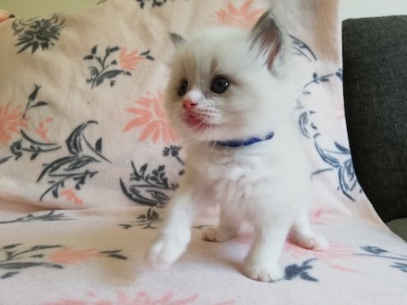 thumbnail_img_20200623_162026