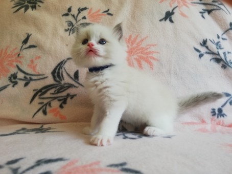 thumbnail_img_20200623_162319