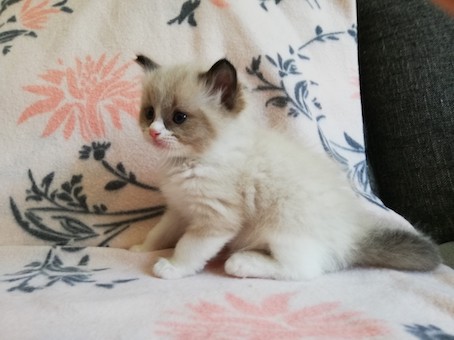 thumbnail_img_20200623_162703