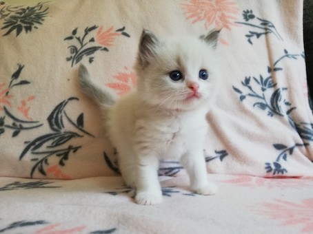 thumbnail_img_20200623_163210