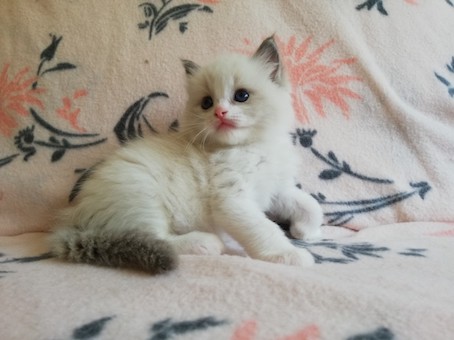 thumbnail_img_20200623_163237