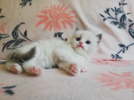 thumbnail_img_20200623_163336