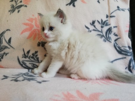 thumbnail_img_20200623_163410