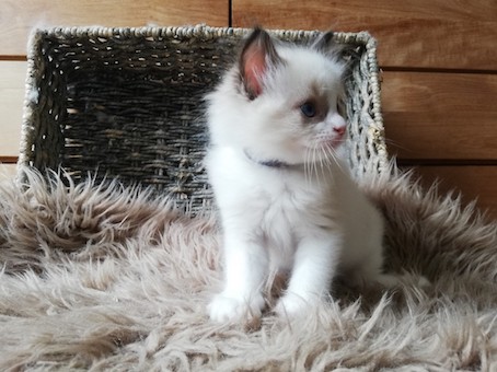 thumbnail_img_20200707_173102_1